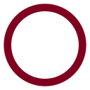 Circle icon