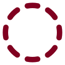 Circle Dashed icon
