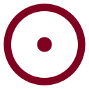 Circle Dot icon