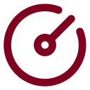 Circle Gauge icon