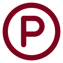 Circle Parking icon