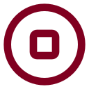 Circle Stop icon