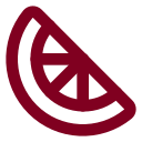 Citrus icon