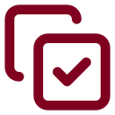 Copy Check icon