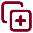 Copy Plus icon