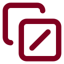Copy Slash icon