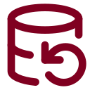 Database Backup icon