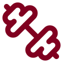 Dumbbell icon