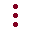 Ellipsis Vertical icon