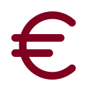 Euro icon
