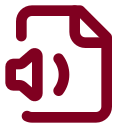 File Volume icon