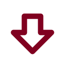Arrow Big Down icon