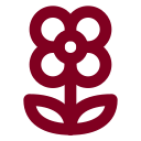 Flower 2 icon