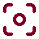 Focus icon
