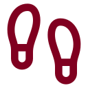 Footprints icon