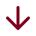 Arrow Down icon