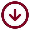Arrow Down Circle icon