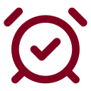 Alarm Check icon