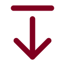 Arrow Down From Line icon