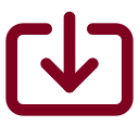 Import icon