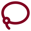 Lasso icon