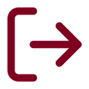 Log Out icon
