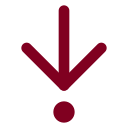 Arrow Down To Dot icon
