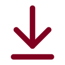 Arrow Down To Line icon