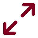 Maximize 2 icon