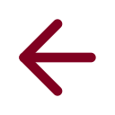 Arrow Left icon