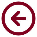 Arrow Left Circle icon