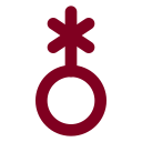 Non Binary icon