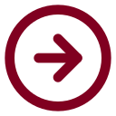 Arrow Right Circle icon