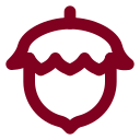 Nut icon