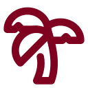 Palmtree icon