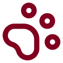 Paw Print icon