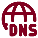 Dns icon