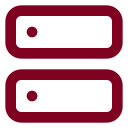Web Server icon