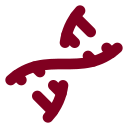 Biometric Identity icon