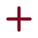 New Connection icon