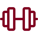 Barbell icon