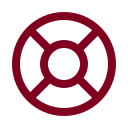 Lifebuoy icon