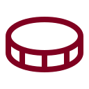 Coin icon