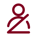Seatbelt icon