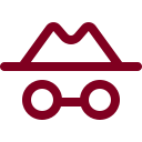 Detective icon