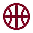 Basketball icon