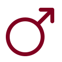 Gender Male icon