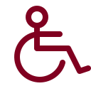 Wheelchair icon
