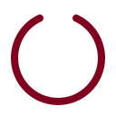 Circle Notch icon