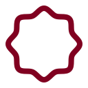 Seal icon